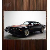 Металлическая табличка Pontiac Firebird Trans Am 6.6 RPO L80